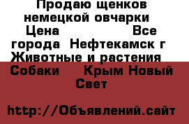 Продаю щенков немецкой овчарки › Цена ­ 5000-6000 - Все города, Нефтекамск г. Животные и растения » Собаки   . Крым,Новый Свет